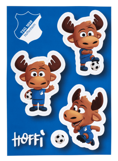 TSG Sticker card Hoffi
