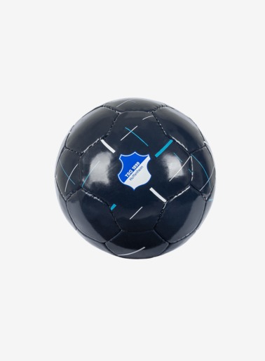 TSG Mini-Fußball Blau