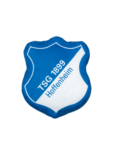 Fussball Schriftzug und Logo TSG Hoffenheim Magnet Set 