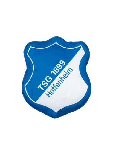 TSG-Pillow Logo