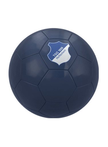 TSG-Soccer Ball Logo