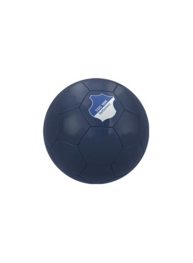 TSG Mini-Fußball Logo