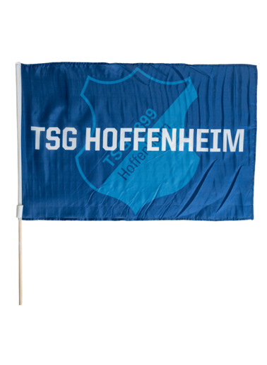 TSG-Stockfahne Logo