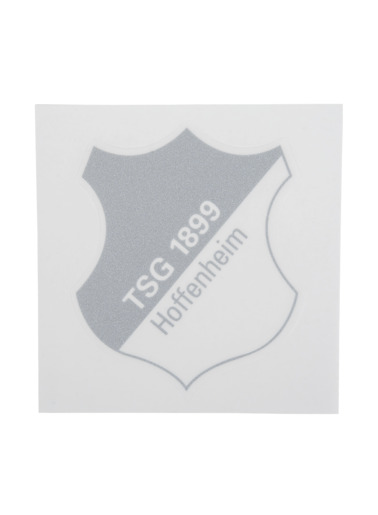 TSG-sticker logo silver