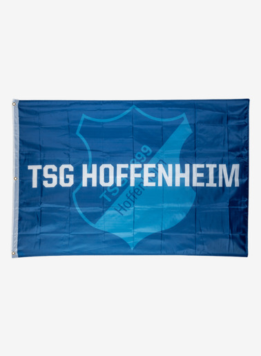 TSG-Mastfahne Logo
