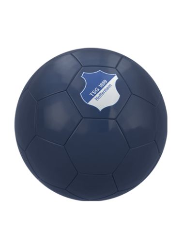 TSG Fußball Logo