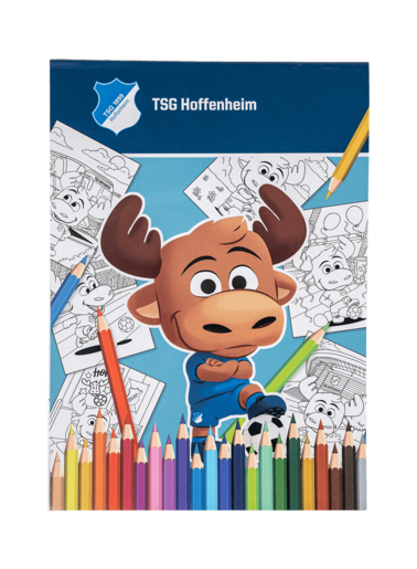 TSG-coloring book