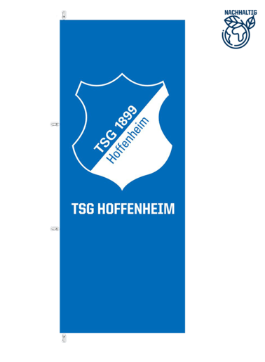 TSG hoist flag logo